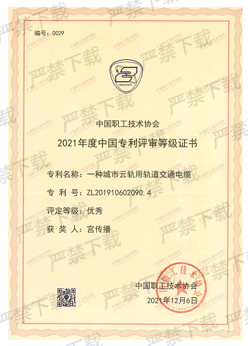 2021年度中国专利评审等级证书